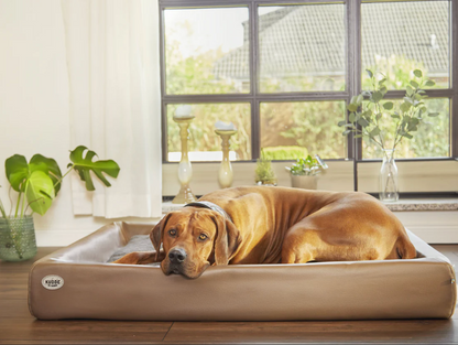 PawBed THE Orthopedic Dog Bed In Imitation Leather