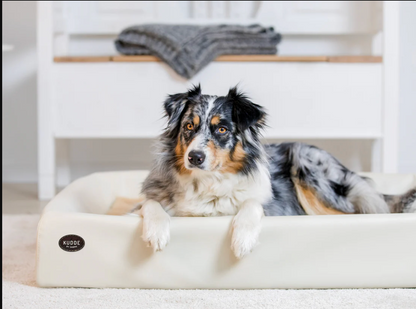 PawBed THE Orthopedic Dog Bed In Imitation Leather