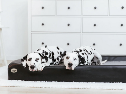 PawBed THE Orthopedic Dog Bed In Imitation Leather
