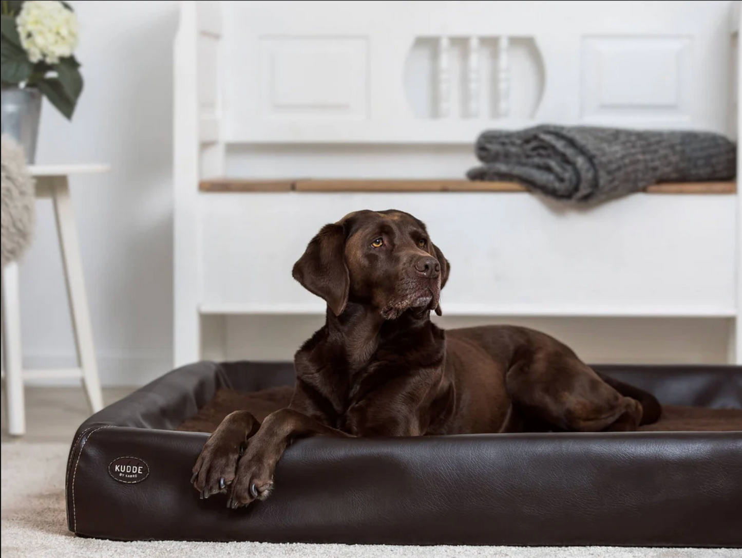 PawBed THE Orthopedic Dog Bed In Imitation Leather