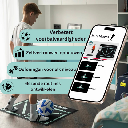 MiniMoves
